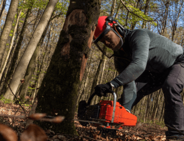 tree cutting services near me